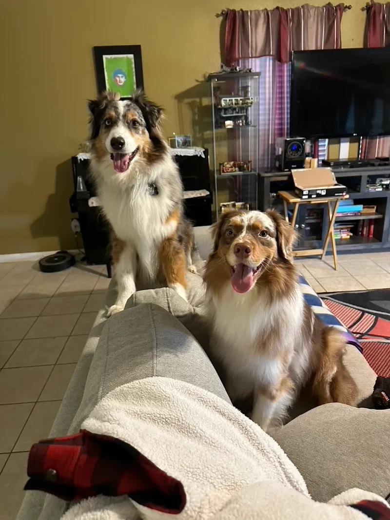 Ducati & Thor